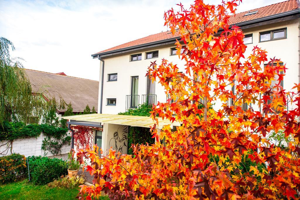 May Residence Dumbravita  Εξωτερικό φωτογραφία