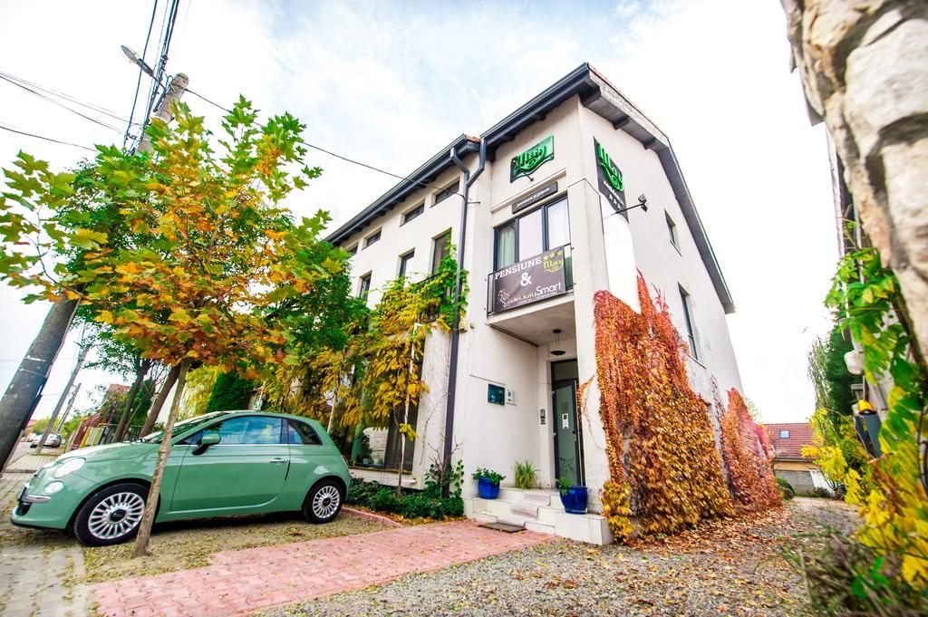 May Residence Dumbravita  Εξωτερικό φωτογραφία