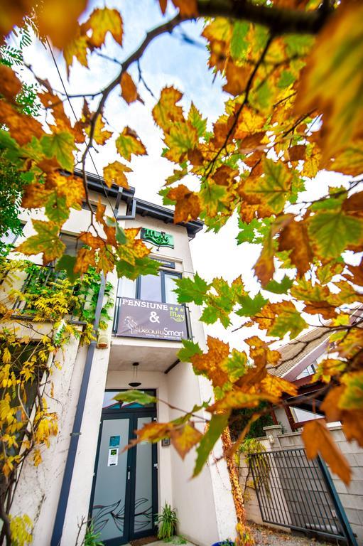 May Residence Dumbravita  Εξωτερικό φωτογραφία