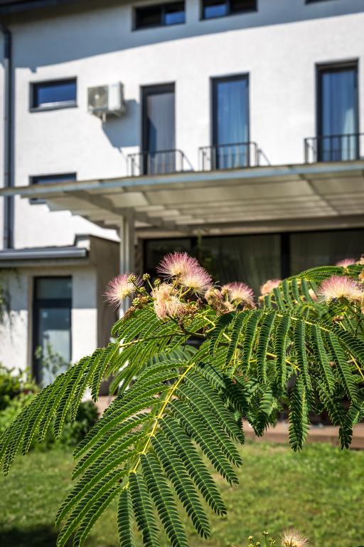 May Residence Dumbravita  Εξωτερικό φωτογραφία
